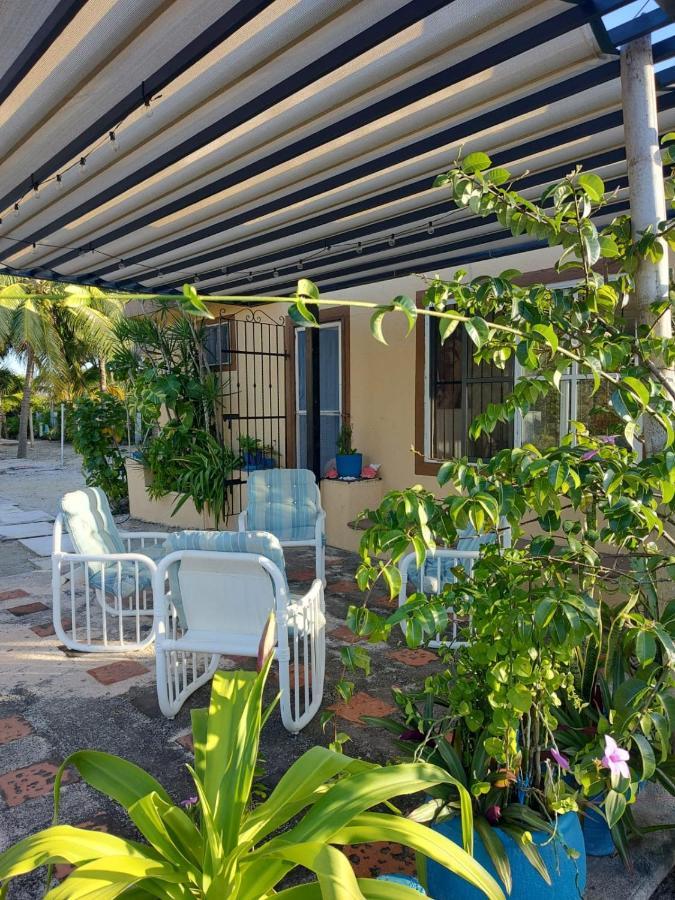 Casa Ibiza Celestun Villa Exteriör bild
