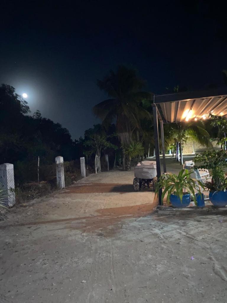 Casa Ibiza Celestun Villa Exteriör bild